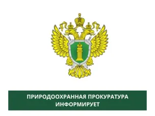 Нижегородская межрайонная природоохранная прокуратура разъясняет